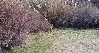 Ankara'da 45 günlük ceset bulundu