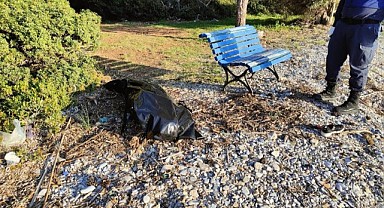 Kuşadası'nda 2 erkek cesedi vurdu