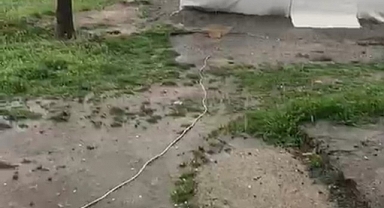 Malatya'da Dolu Yağışı Etkili Oldu