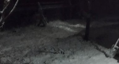 Malatya'ya nisan ayı yağan kar şaşırttı