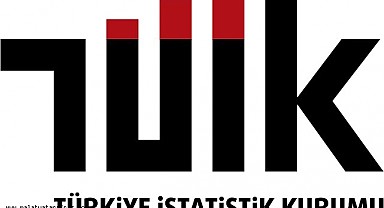 Türkiye İstatistik Kurumu 11 Sözleşmeli Personel Alımı 2023
