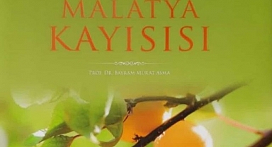 Malatya kayısı isimli kitap ödül getirdi