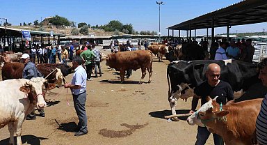 Malatya hayvan pazarında hareketlilik sürüyor