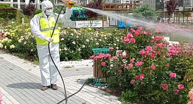 Malatya’da Haşere İle Mücadele Çalışmaları Devam Ediyor