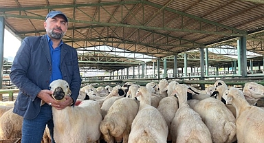 Malatya'da vatandaşlar kurbanlık almak için Arefe Günü'nü bekliyor