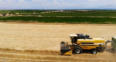 Malatya'nın 'Çukurovası'nda bu yıl hububat bolluğu var