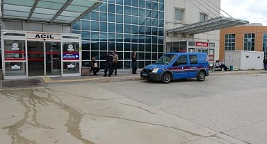 Tokat'ta Ayı'nın Saldırdığı Çocuk Ağır Yaralandı 