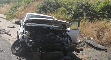 Kontrolden çıkan otomobil sulama kanalına devrildi: 1 yaralı