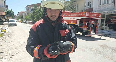 Yangında etkilenen güvercinleri itfaiye kurtardı