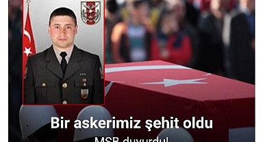 Uzman Çavuş Ali Demir Şehit Oldu