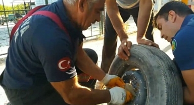 Yavrusu kurtarılana kadar başında bekledi