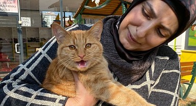 Çocuklara Vicdan ve Merhamet Duygusu Yerleştirmenin En Kolay Yolu Hayvan Sevgisi! 