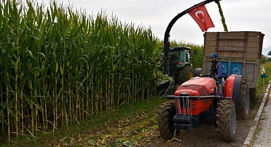Silajlık mısır hasadı tarla günü etkinliği yapıldı