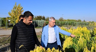 Yeşilyurt Beylerderesi Şehir Parkı yeşillenecek