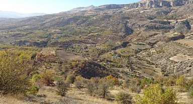 Levent Vadisi sonbaharda göz kamaştırıyor