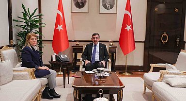 Cumhurbaşkanı yardımcısı, Malatya Milletvekili Ölmeztoprak ile görüştü