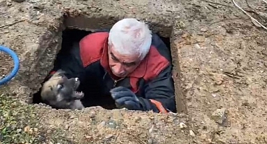 Kuyuya düşen köpek kurtarıldı