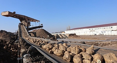 Malatya Şeker Fabrikası'nda bu yıl hedef 65 bin ton şeker üretimi