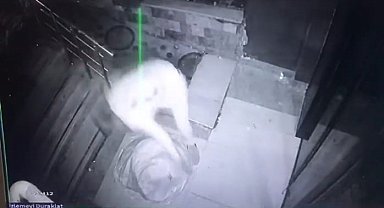 Hasarlı binadaki hırsızlık anları kameraya yansıdı