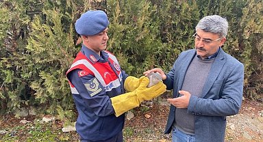 Malatya'da yaralı bulunan Atmaca koruma altına alındı