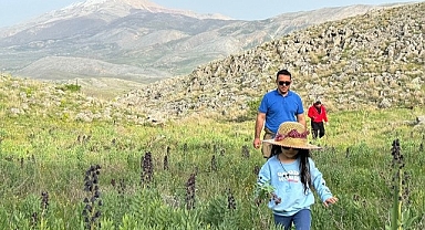 Doğanşehir'de dağ sümbülleri çiçek açtı