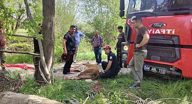 Kuyuya düşen ineği itfaiye kurtardı