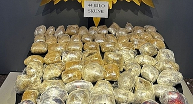 Malatya'da 44 kilogram skunk ele geçirildi