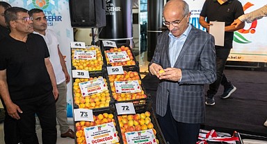 En İyi Yaş Kayısılar Kale Ve Darende İlçelerinden