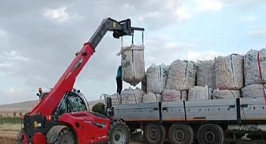 Darende'de patates hasadına başlanıldı