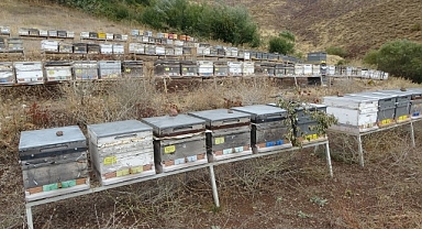 Malatya'da bal hasadı tamamlandı