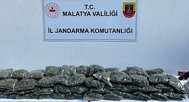 Malatya'da uyuşturucu operasyonu