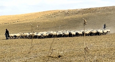 Yaylacıların zorlu dönüş yolculuğu başladı