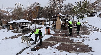 Malatya'da kış şartlarında sokak ve yaban hayvanları unutulmadı