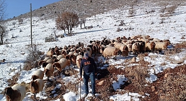 Küçükbaş hayvan yetiştiricilerin zorlu kış mesaisi