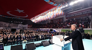 Cumhurbaşkanı Erdoğan, Bolu'daki yangınla ilgili açıklamalarda bulundu