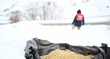 Battalgazi'de yaban hayvanlarına kış desteği