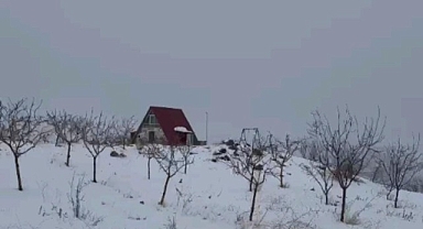 Bin 600 rakımdaki bu evi gören bir daha bakıyor