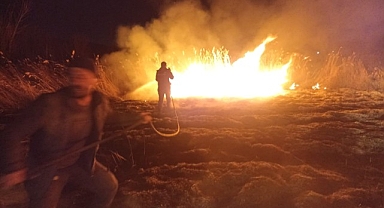 Malatya'da sazlık alanda yangın