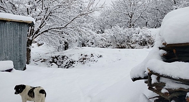 Pütürge'de kar yağışıyla kartpostallık görüntüler ortaya çıktı
