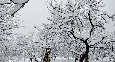 Pütürge'de kar manzaraları