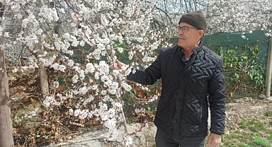Malatya'da kayısı üreticileri zirai don tehlikesiyle karşı karşıya