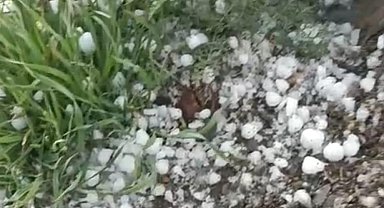 Arapgir'de dolu yağışı etkili oldu