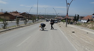 Malatya'da hafif ticari aracın çarptığı kadın hayatını kaybetti