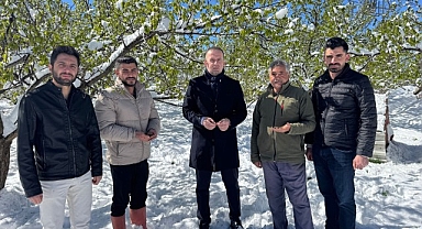Malatya'da kayısı da don felaketi