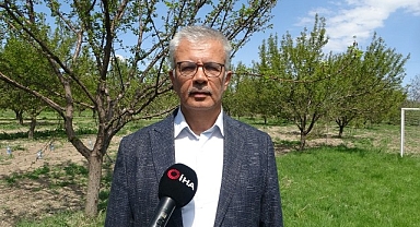 Malatya'da yüzyılın en büyük zirai ürün kaybı