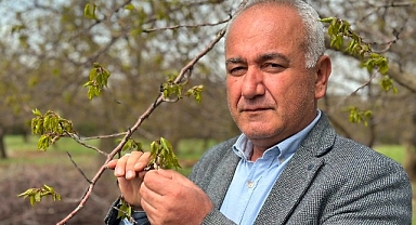 Malatya'da zirai don meyve ağaçlarını vurdu