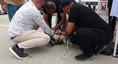 Malatya'da etkinlikte pitbull dehşeti: Bir kadın yaralandı