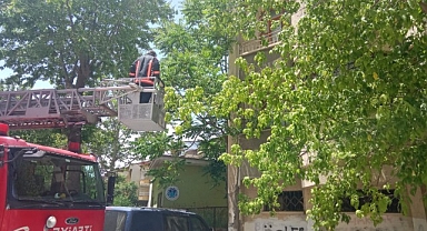 Malatya'da metruk evin penceresine sıkışan kedi itfaiye tarafından kurtarıldı