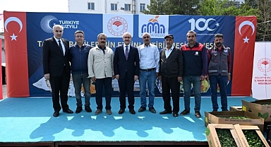 Vali Yavuz: