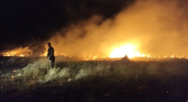 Akçadağ'da bahçe ve sazlık yangını: 25 Kayısı ağacı zarar gördü